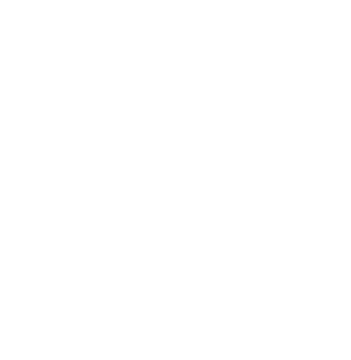 Minamisawa Consulting